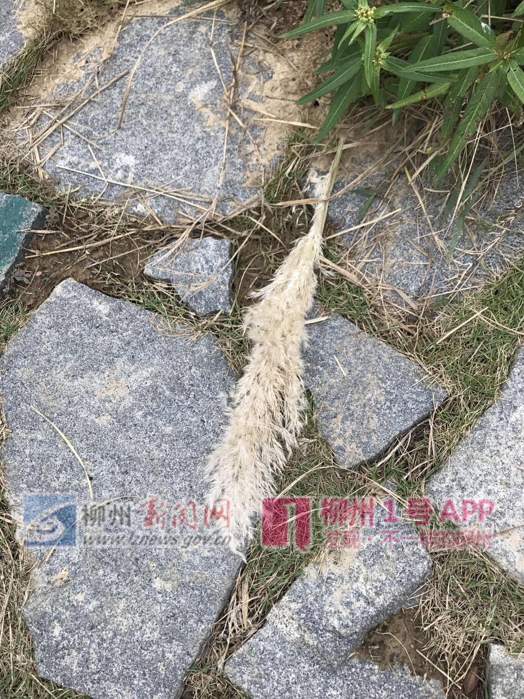 微信图片_20181018180321.jpg 微信图片_20181018180321.jpg