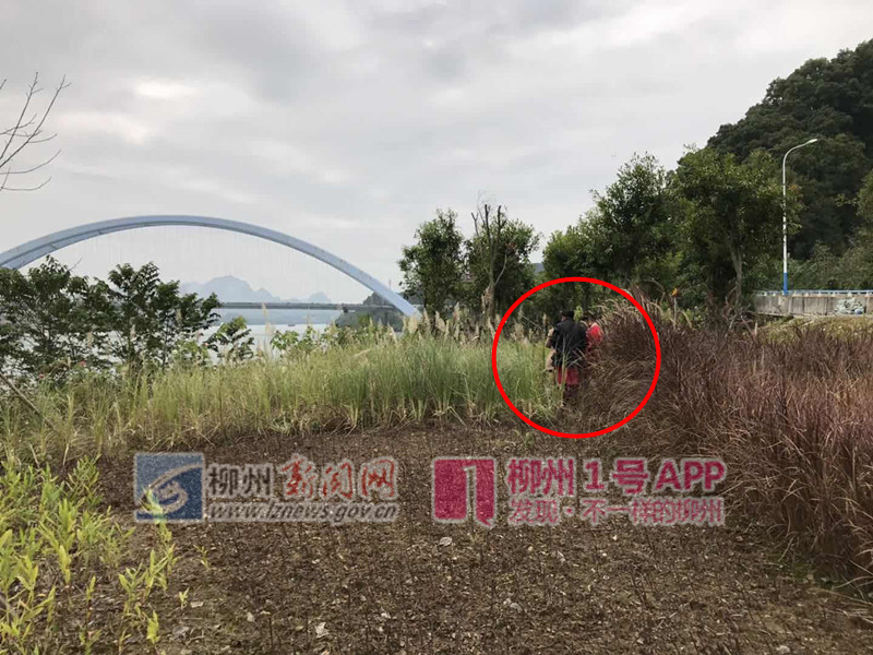 微信图片_20181018180409.jpg 微信图片_20181018180409.jpg