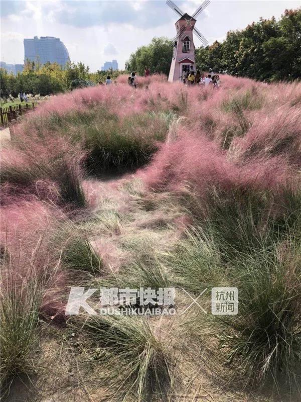 微信图片_20181018191629.jpg 微信图片_20181018191629.jpg