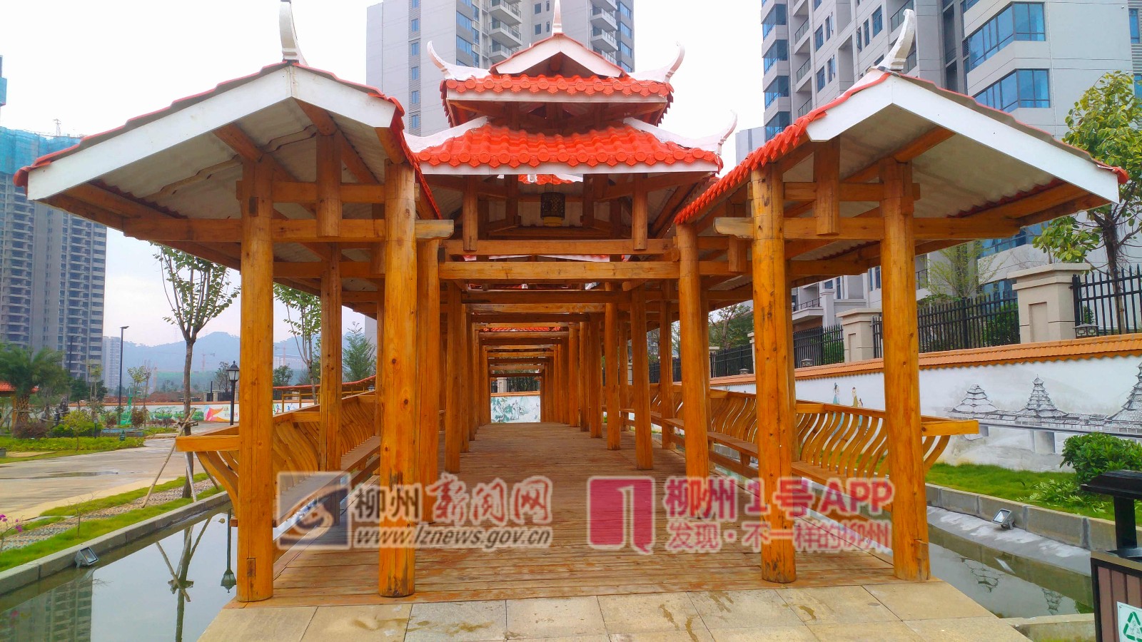 迷你版凤凰岭大桥已建起！全部由木材打造不用一颗钉子