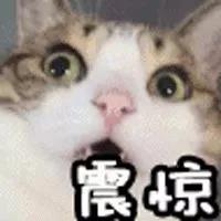 微信图片_20181020144931.jpg