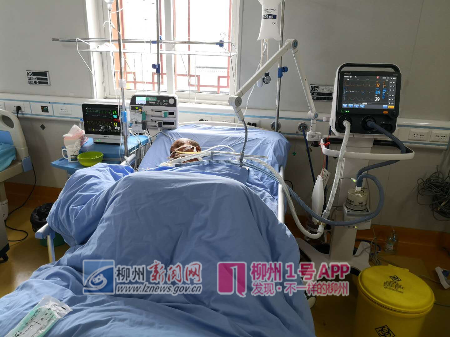 “断肠草”真的能致命！柳州一老人听信偏方，服用后昏迷抽搐被送抢救