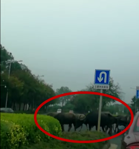 微信图片_20181025104053_副本.png 微信图片_20181025104053_副本.png