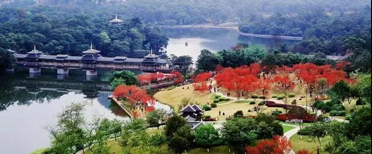 微信图片_20181027155817.jpg