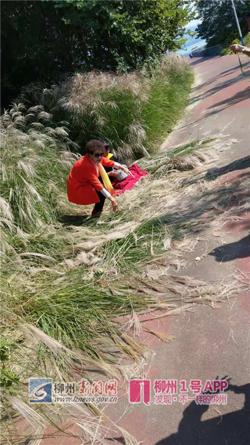 微信图片_20181029112752_副本.jpg