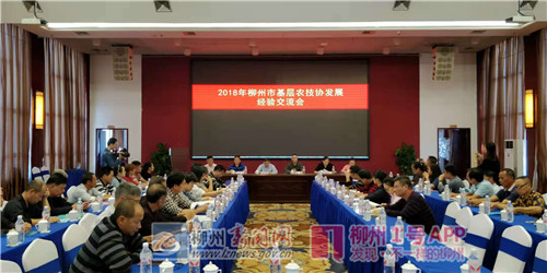 微信图片_20181031211045.jpg 微信图片_20181031211045.jpg