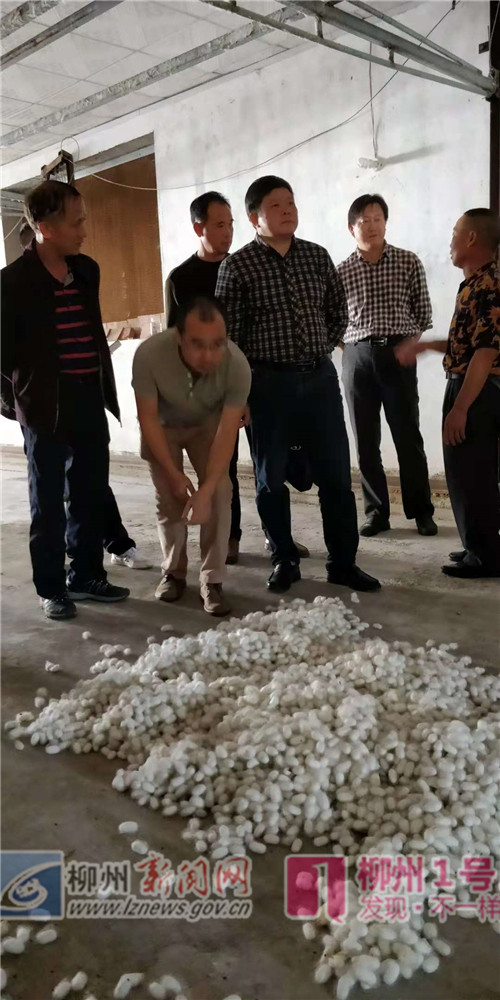 微信图片_20181031211313.jpg