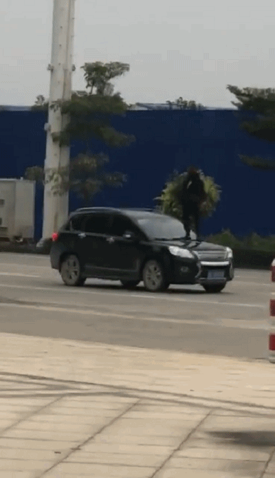 微信图片_20181101164215.gif