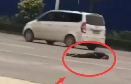 1号辟谣|广西街头惊现妻子抓“小三”大战，被丈夫开车碾压身亡？真相来了！