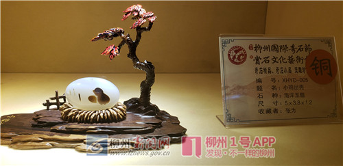 小鸡出壳.jpg 小鸡出壳.jpg