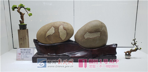 八一.jpg 八一.jpg