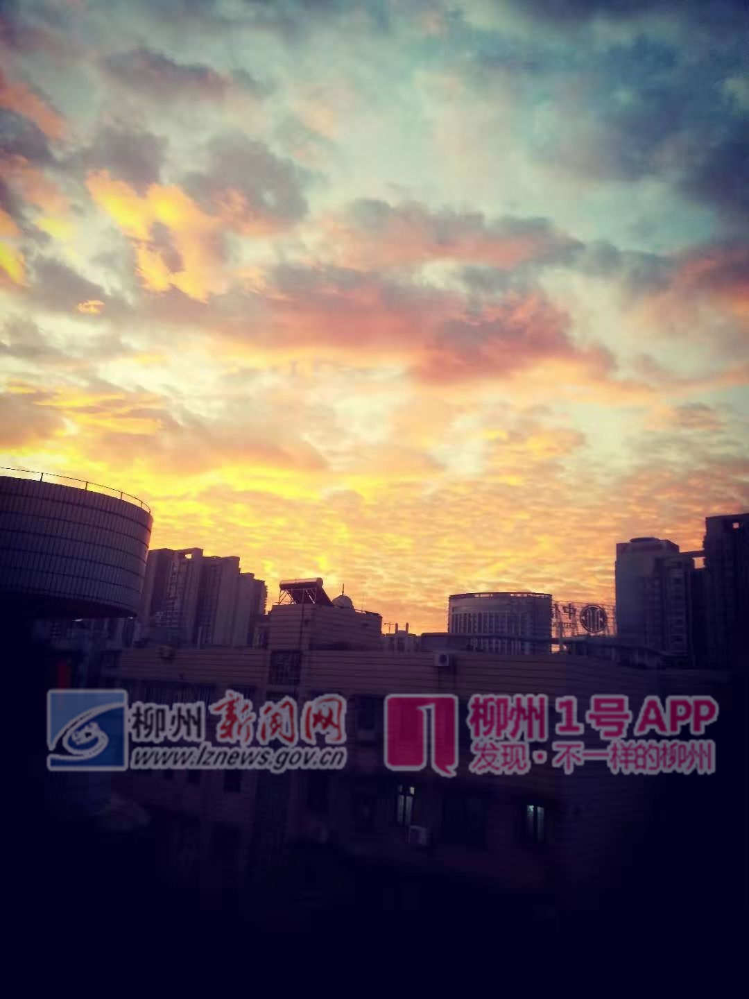 微信图片_20181102074449.jpg