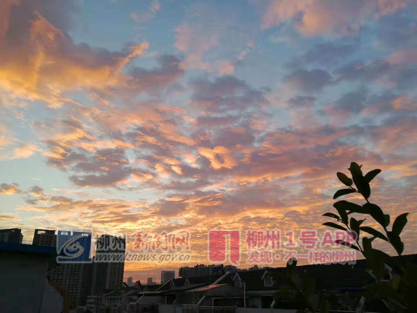 微信图片_20181102075501.jpg