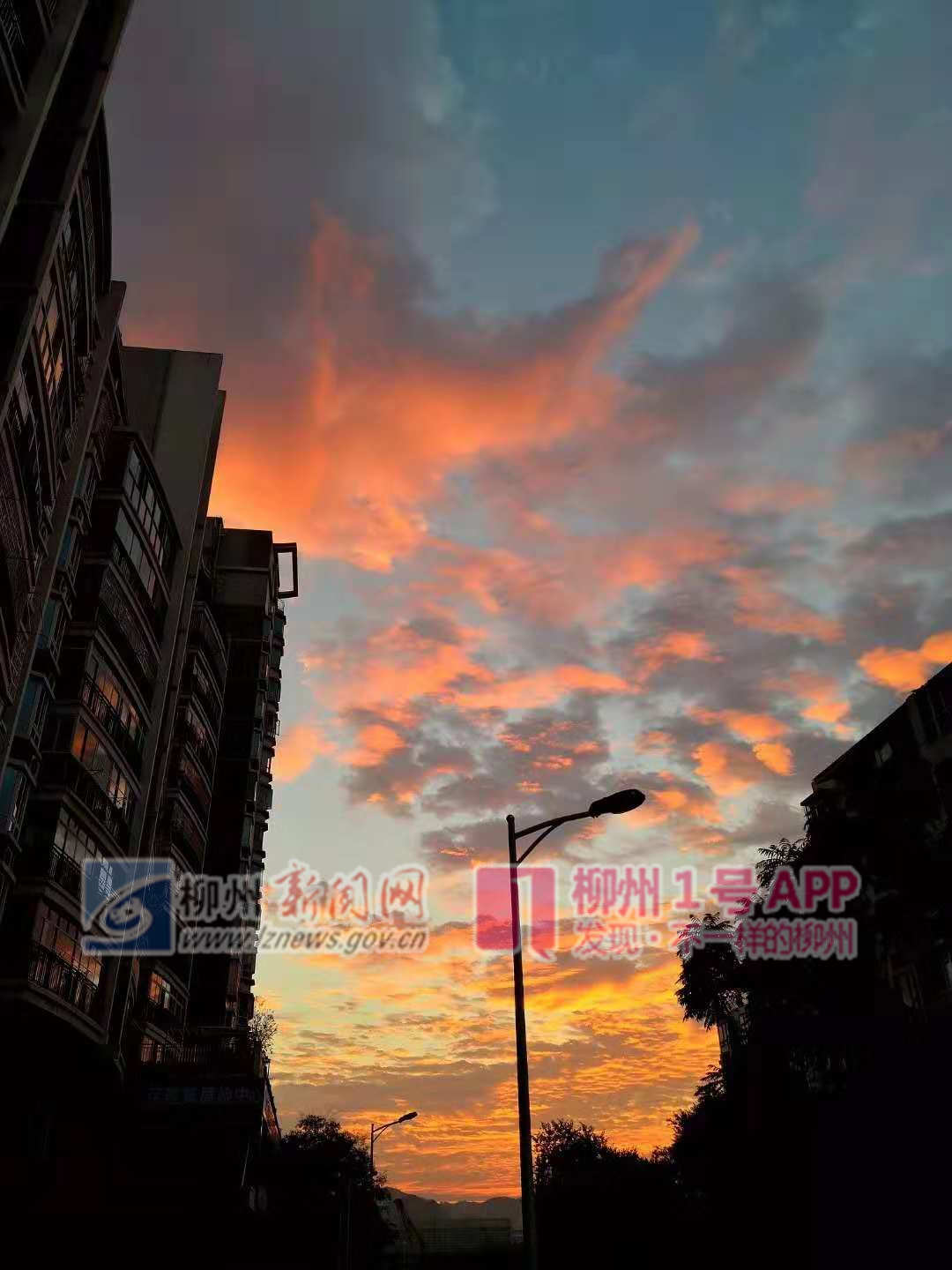 微信图片_20181102085852.jpg