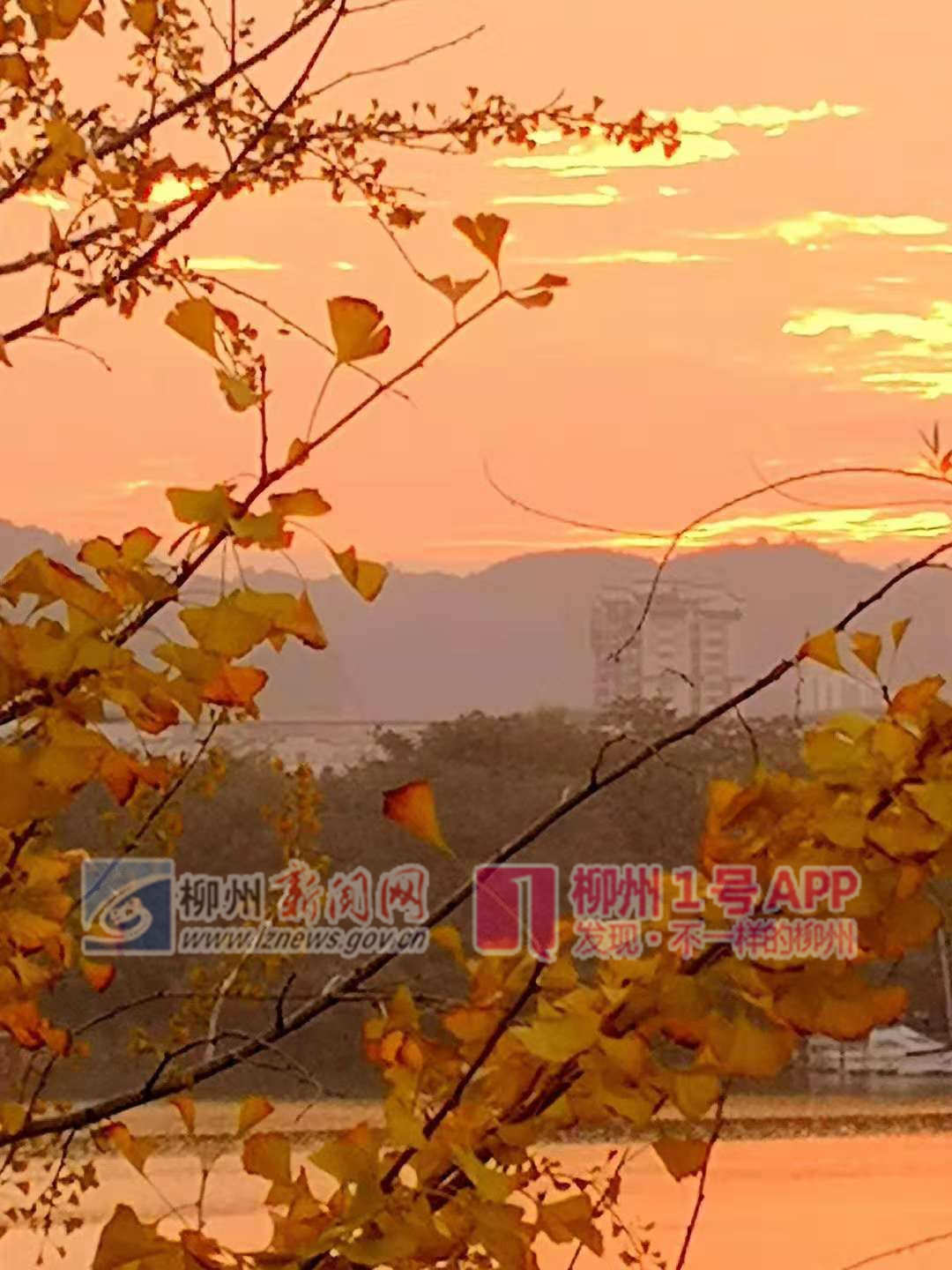 微信图片_20181102085854.jpg
