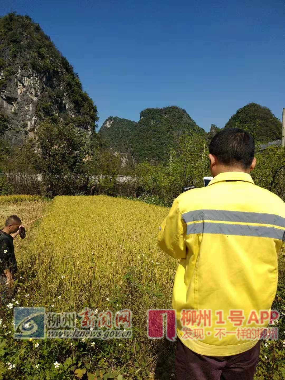 铁路部门工作人员现场勘验测量.jpg 铁路部门工作人员现场勘验测量.jpg