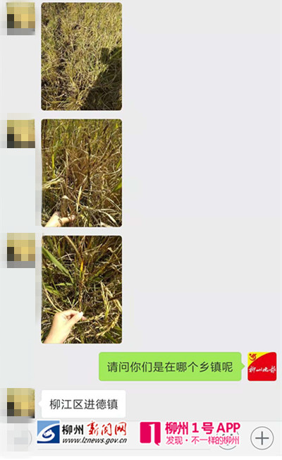 微信图片_20181102200809.jpg 微信图片_20181102200809.jpg
