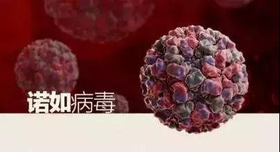 微信图片_20181103161356.jpg 微信图片_20181103161356.jpg