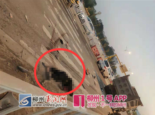 QQ截图20181103195234.png QQ截图20181103195234.png