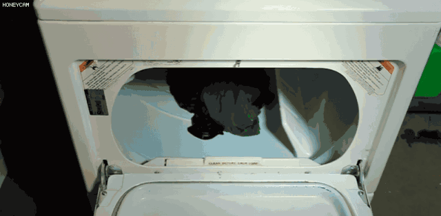 微信图片_20181104133229.gif 微信图片_20181104133229.gif