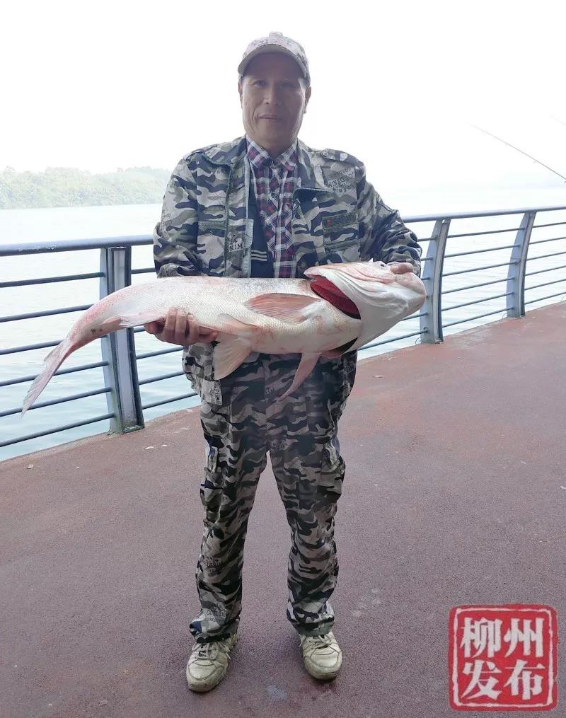 微信图片_20181105135334.jpg 微信图片_20181105135334.jpg