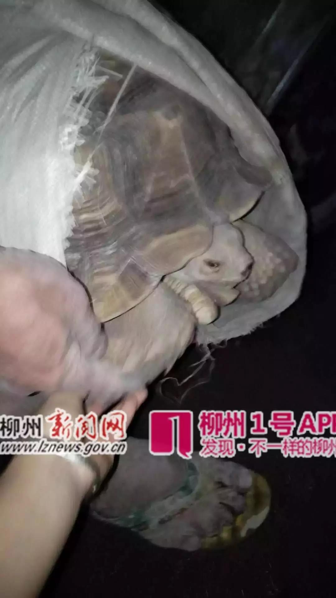 微信图片_20181105135527.jpg 微信图片_20181105135527.jpg