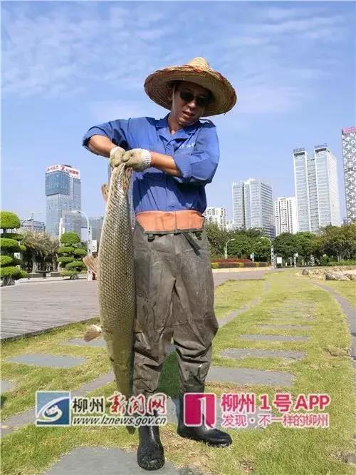 微信图片_20181105135642.jpg 微信图片_20181105135642.jpg