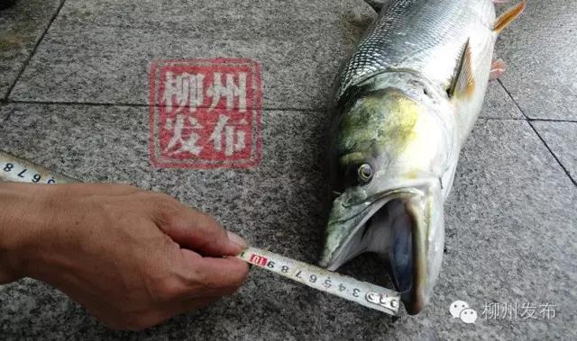 微信图片_20181105135647.jpg 微信图片_20181105135647.jpg