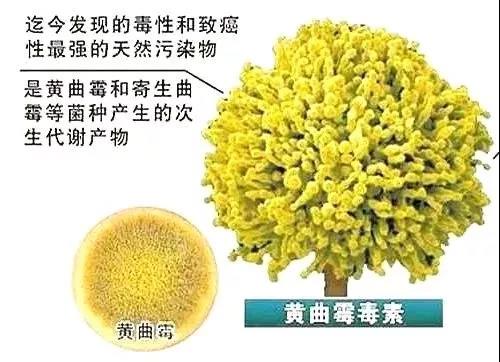 微信图片_20181105141938.jpg 微信图片_20181105141938.jpg