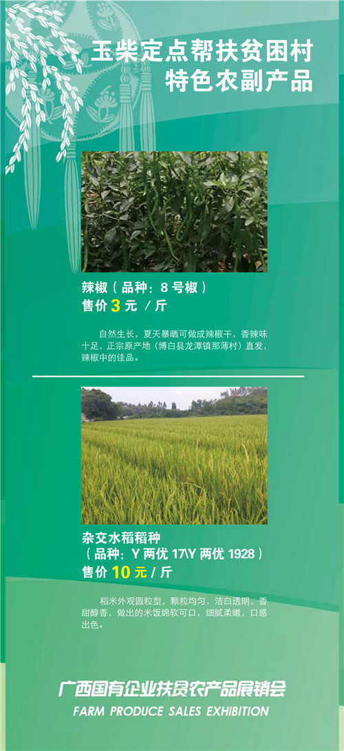 玉柴.jpg