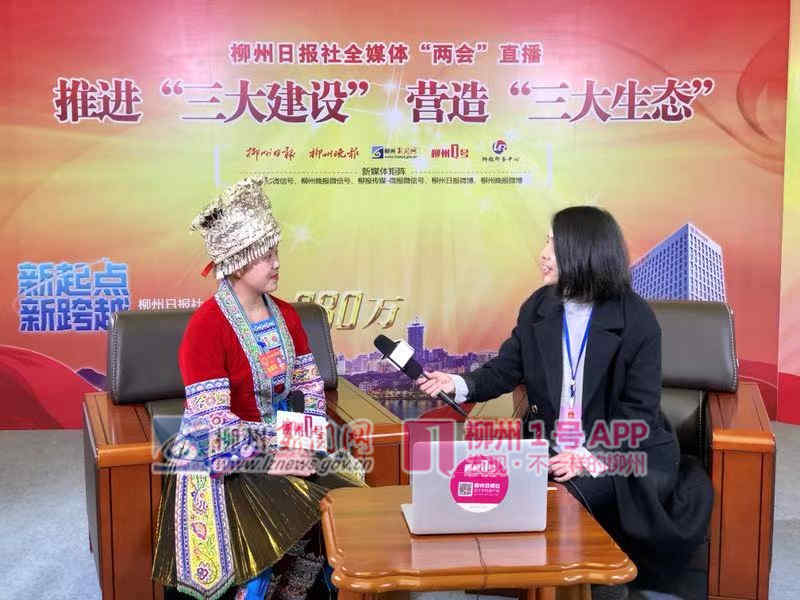 晚报首席记者李华“两会”采访.jpg 晚报首席记者李华“两会”采访.jpg