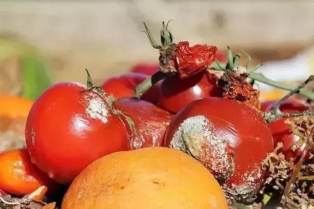 食物烂了一点，还能不能吃？这4类真不能吃，伤肝又伤肾