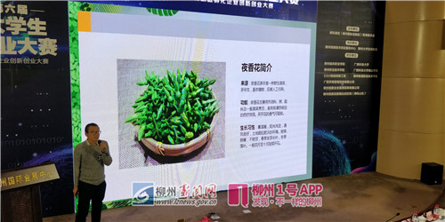 微信图片_20181110163537_副本.jpg