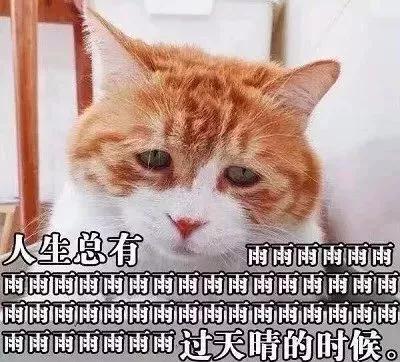 微信图片_20181111133019.jpg