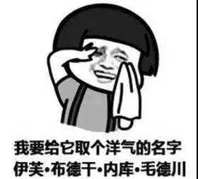 微信图片_20181111133035.jpg