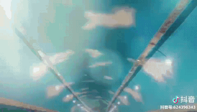 微信图片_20181113210822.gif