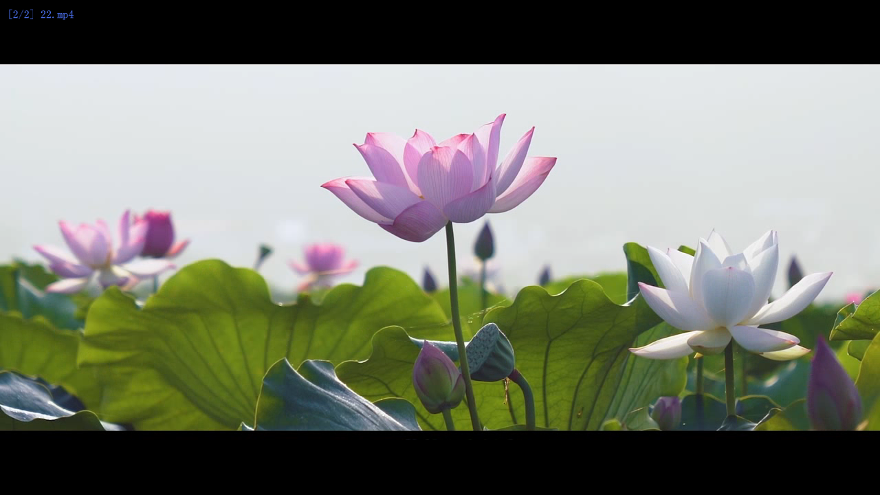 微信图片_20181114111624.png