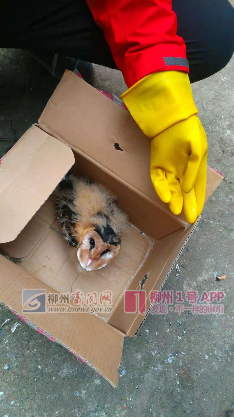 微信图片_20181114154100.jpg 微信图片_20181114154100.jpg