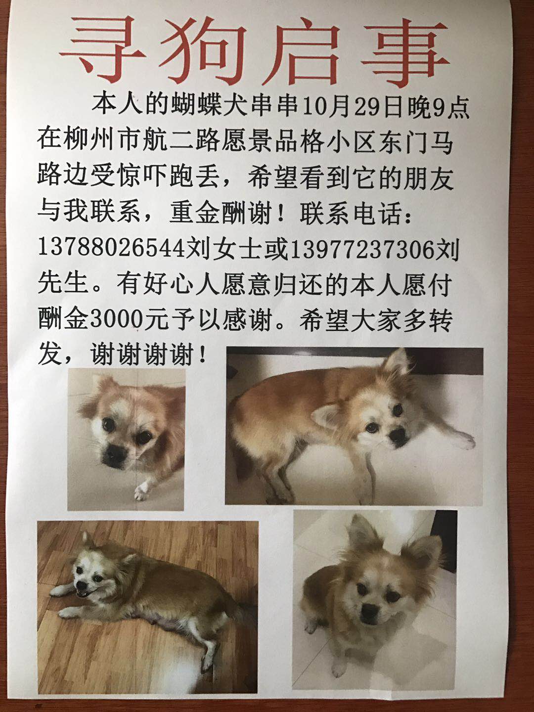 微信图片_20181114174941.jpg