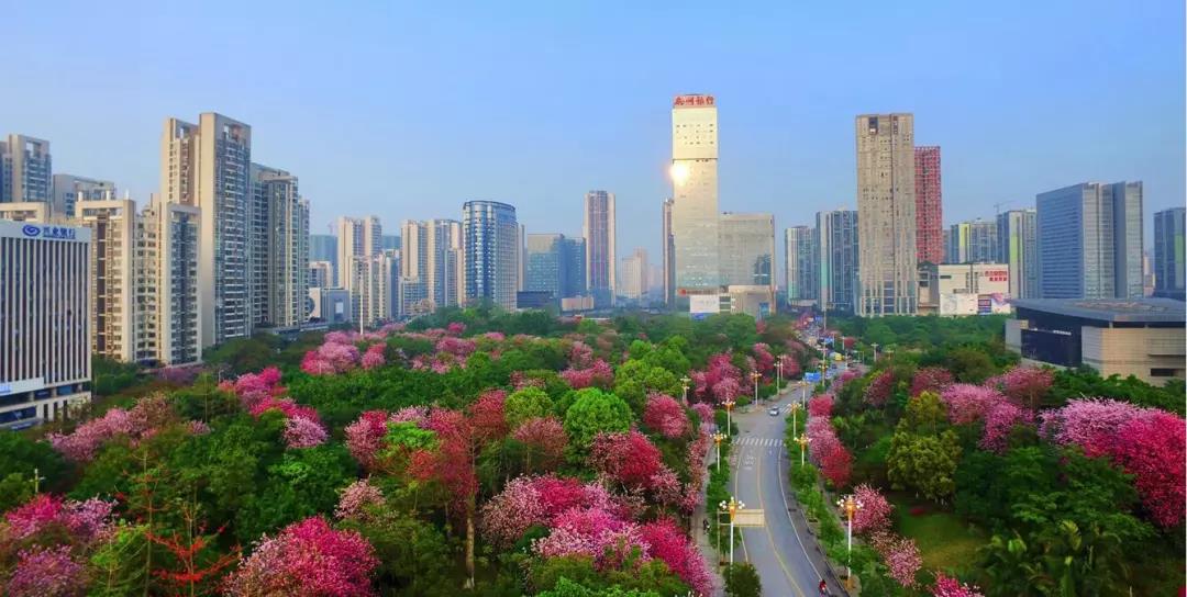 微信图片_20181117094328.jpg 微信图片_20181117094328.jpg