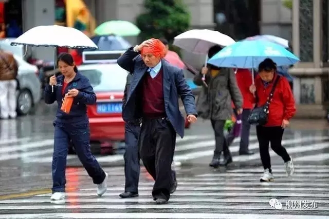8℃，气温跌到个位数！降温降雨还将持续，未来三天都是…