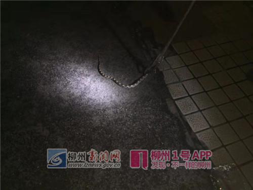 微信图片_201811182159061.jpg 微信图片_201811182159061.jpg