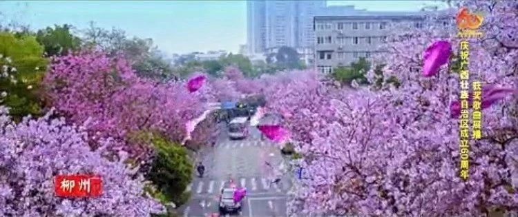 微信图片_20181119114947.jpg