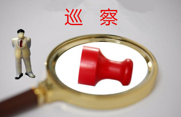 十二届柳州市委第五轮巡察整改情况公布
