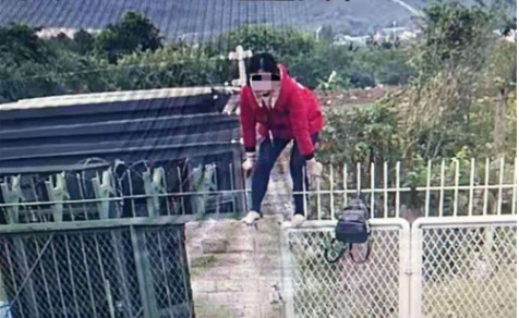 谈业务没找到大门？对这名翻门入园女子卡乐星球放其一马