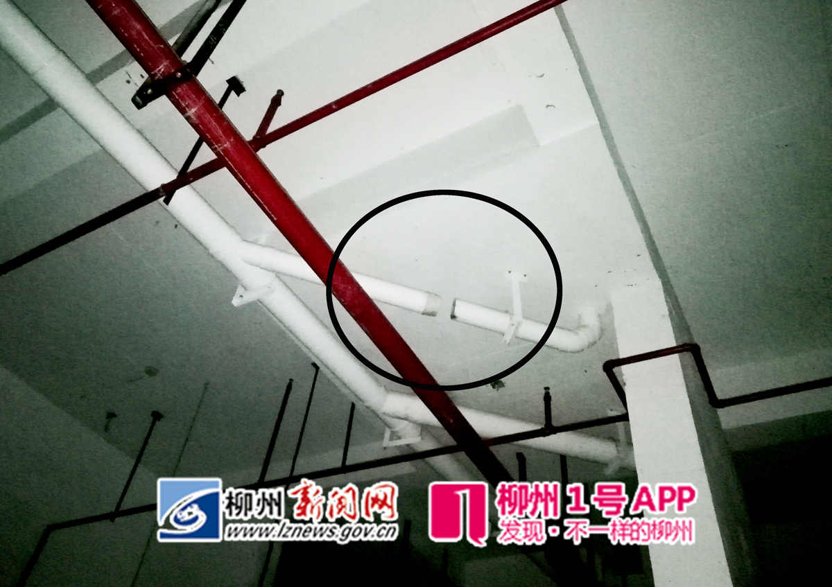 微信图片_20181120200323.jpg 微信图片_20181120200323.jpg