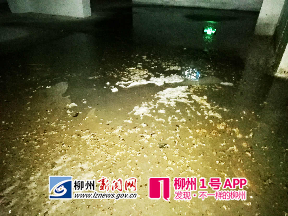 微信图片_20181120200258.jpg 微信图片_20181120200258.jpg