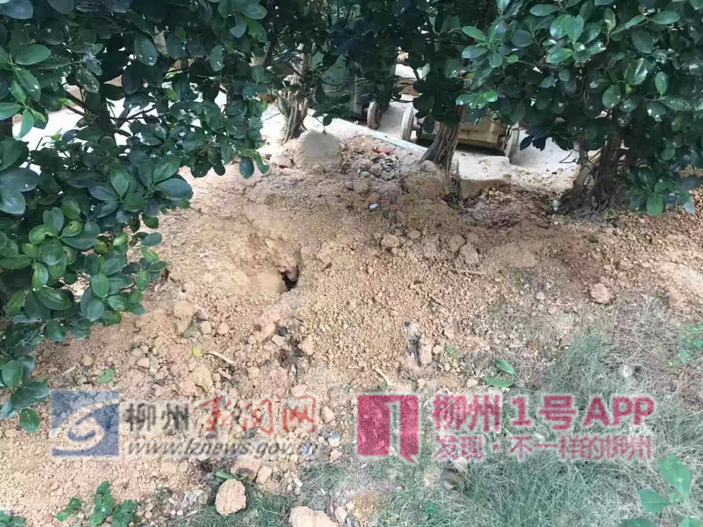 微信图片_20181121144322.jpg 微信图片_20181121144322.jpg