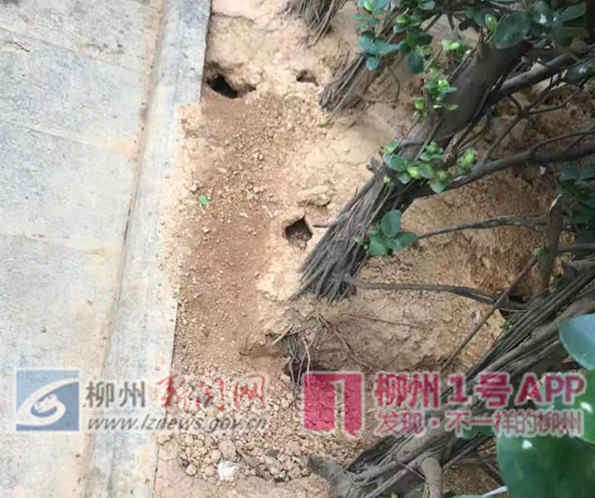 微信图片_20181121144327.jpg 微信图片_20181121144327.jpg