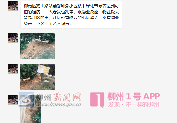 微信图片_20181121144306.png 微信图片_20181121144306.png